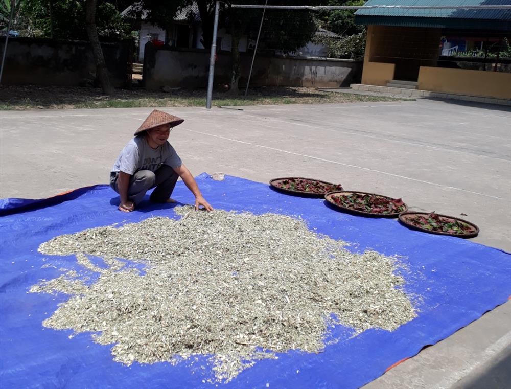 Lương y đa khoa Nguyễn Đức Hưng - cống hiến hết mình cho nền y học nước nhà